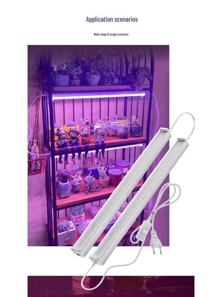 Full Spectrum LED Grow Light for Seedlings, Flowers, Vegetables, and Succulents