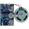Greeting Card Music Module: Voice Recording for Birthday, Thanksgiving, Christmas, DIY Creative Chip.