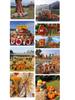Pumpkin Harvest Festival Props: Farmhouse Halloween Decoration for Mall Displays and Room Ornaments