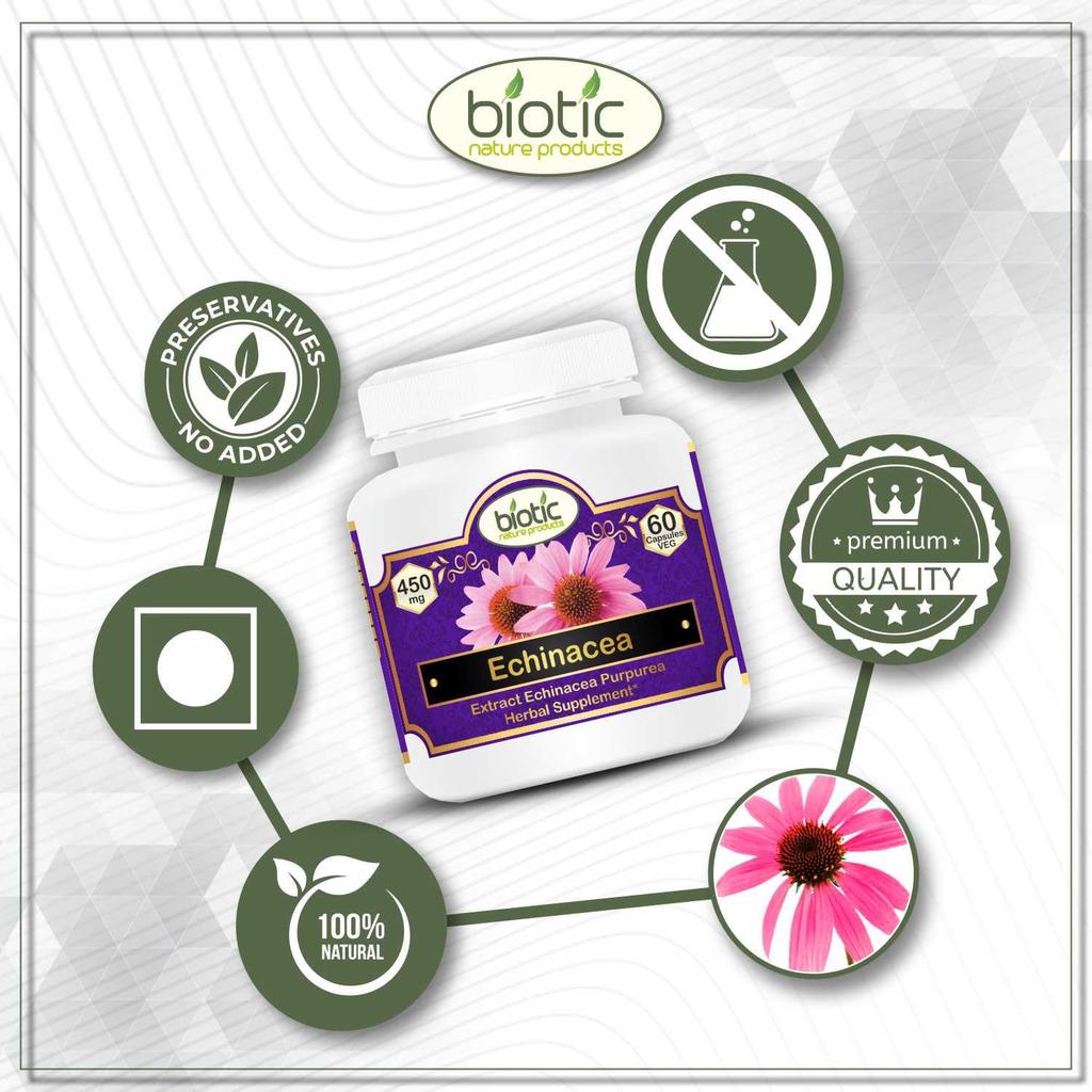 Biotic Echinacea Capsules - Organic Echinacea Extract 450mg Herbal Supplements - 60 Veg Capsules