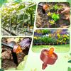 200Pcs Pressure Compensated Drippers 1/2/3/4/8/12/16 L/H Garden Drip Compensation Emitters Irrigation Steady Flow Regulators