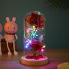 Glaskuppel Rose mit Lichtern - Kreatives Geschenk zum Frauentag und Nachtlicht-Ornament