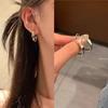 Silver needle flash zircon earrings, women's exquisite temperament stud earrings, spring and summer earrings.