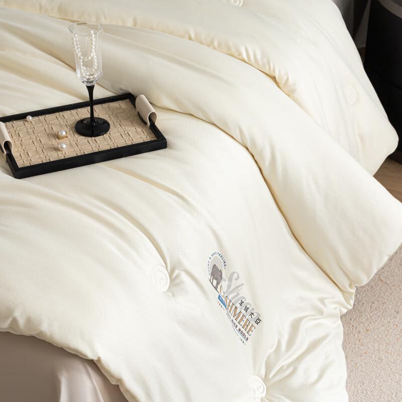 Jacquard Cashmere Soybean Blend Winter Quilt