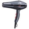 C-2 High-Power Home & Salon Hair Dryer