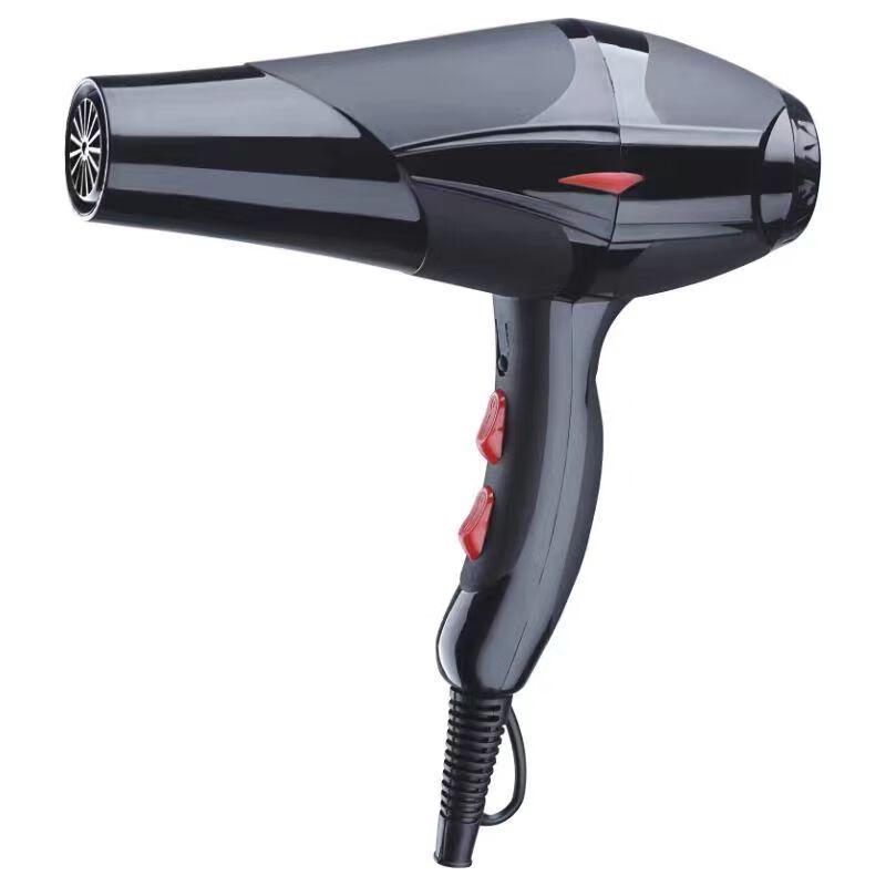 C-2 High-Power Home & Salon Hair Dryer