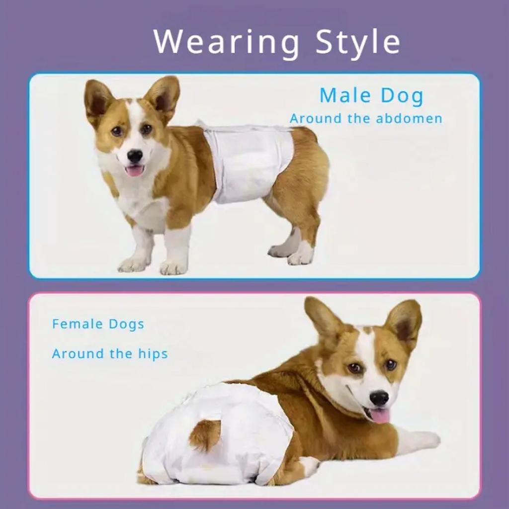 Weiche Einweg-Hundewindeln - Windeln für Hündinnen und Rüden Superabsorbierende Hündchenwindel Auslaufsichere Windelhosen Welpen-Shorts