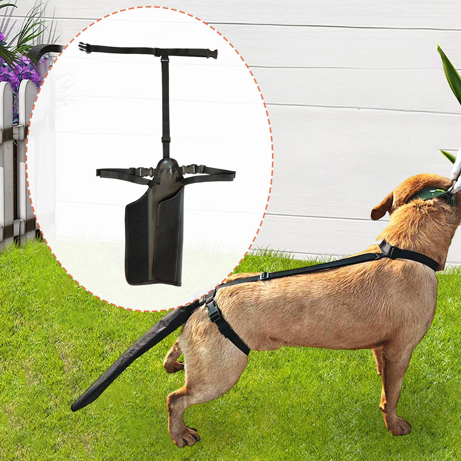 Cover for Dogs Outdoor Activities, Easy to Clean, Breathable, Prevents [the Dog From Getting M