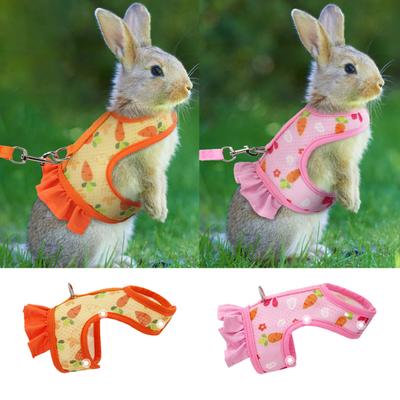 1 Set Pet Harness Leine Stilvolle Niedlichen Cartoon-Muster Guinea