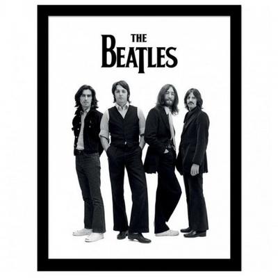 Group Shot Framed Poster