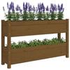 VidaXL Jardinière Marron miel 112x25x66 cm Bois massif de pin 823930