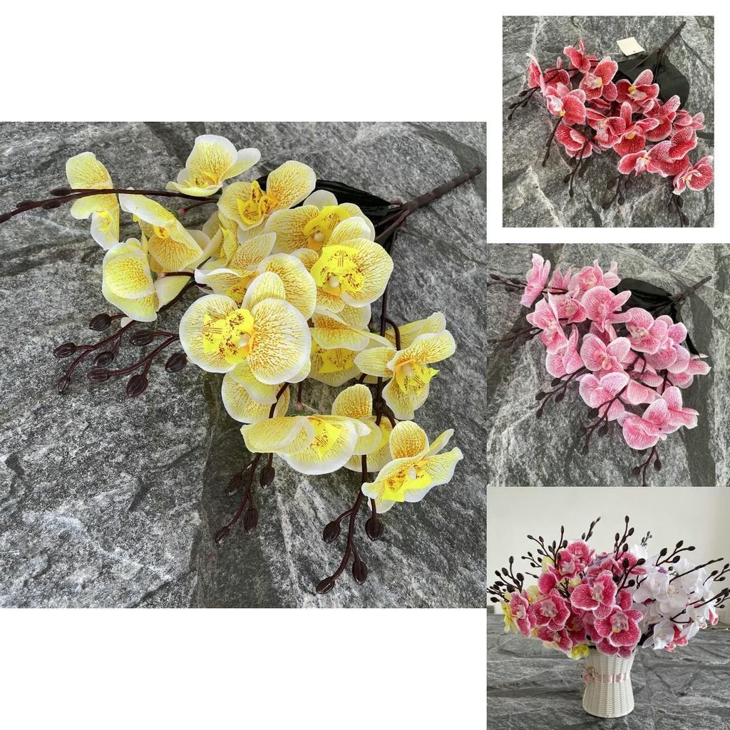 Artificial Phalaenopsis Flower Stems For Wedding Photography Living Room Decoration