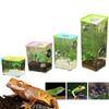 Acrylic Transparent Breeding Box for Reptiles Spiders Lizards Insects Mantis - Pet Cages Reptile Accessories