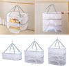 1-3 Lagen Trockennetz Kräutertrockner Netz Gemüse Lebensmittel Fisch Hängendes Trockengestell Kleidung Trockennetz Blumen Knospen Pflanzen Organizer
