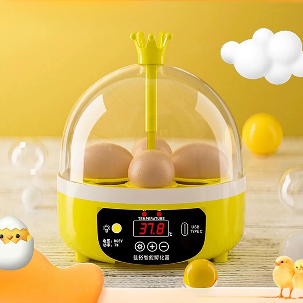 Mini Home Hatcher 4 Eggs Boiler Fully Automatic Constant Temperature Kitchen Cooking Equipment Household Breakfast Tool