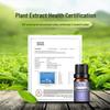 Car Aroma Crystal Pendant Perfume Set - Essential Oil Fragrance & Deodorizing Diffuser Refill