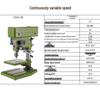 ZSG4112B Variable Speed Benchtop Drilling & Tapping Machine CN Plug (adapter Included)