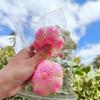 Tomato Squeeze Toy Stress Relief Persimmon Mangosteen Mango Lemon Squeeze Sensory Fidget Toy Slow Rising Stress Ball