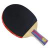 DHS H2006 2-Star Table Tennis Racket Set