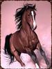 Running Horse Tin Sign Plaque Metal Vintage Wild Animal Shabby Chic Home Decoration Poster Restaurant Plate Iron Paintings Sign