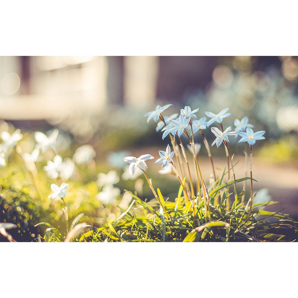 Landscape DIY5D Diamond Painting Rhinestone Pictures Mosaic Landscape Cross Stitch Kit