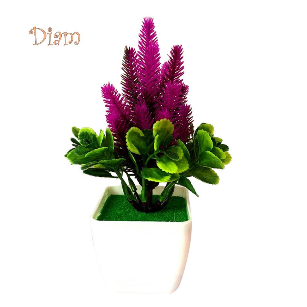 

Цветочная трава в горшке красный/фиолетовый