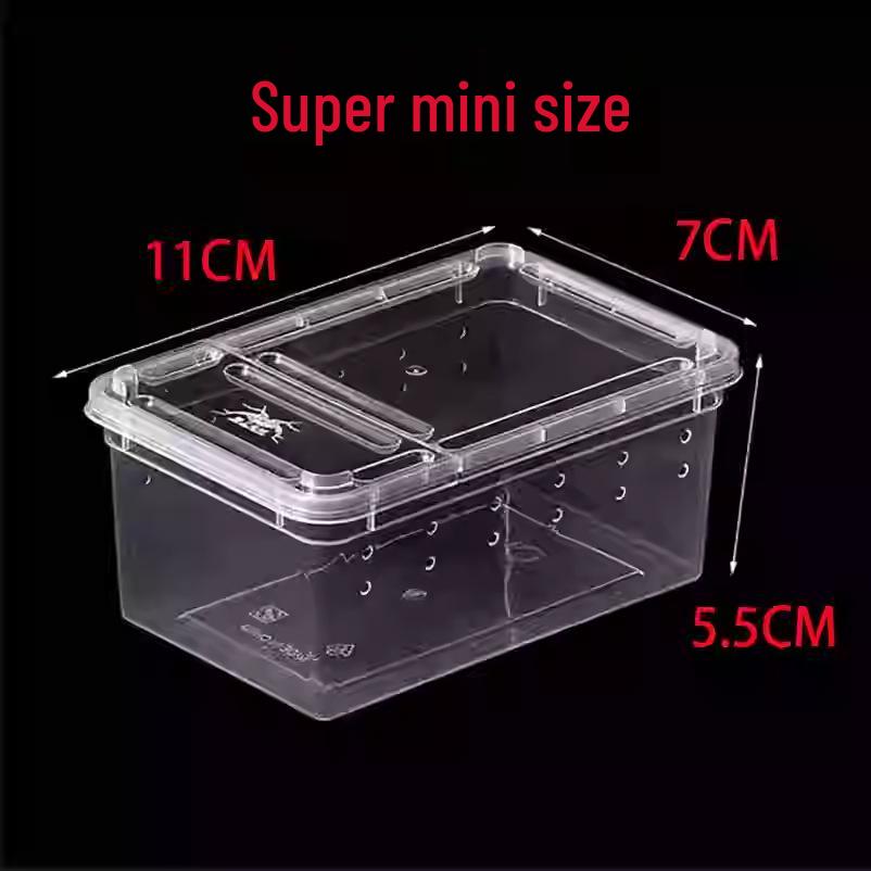 Reptile Habitat Tank for Silkworms, Spiders, Frogs, Snakes, Lizards, Snails, Insects, and Turtles