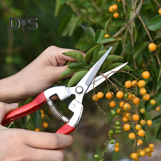 Pruning Scissors High Hardness Sharp Blade Stainless Steel Fruit Trees Branch Pruning Shears Home Supplies