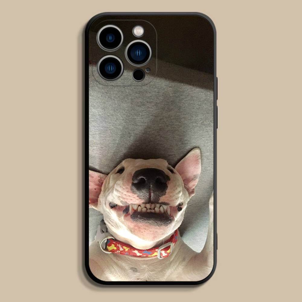Funny Bull t-Terrier Dog Phone Case For iPhone 17,16,15,14,13,12,Pro,Max,Plus,E,SE4,Air,Mini Black Soft Cover