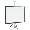 Projector Screen with Stand 50 Inches 4:3