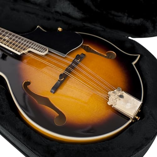 GATOR Lightweight Semi-Hard Case for Mandolin, GL Guitar Series, Made of EPS (GL-MANDOLIN)