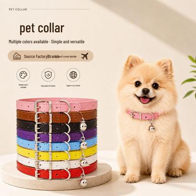 Köpek – Köpek Tasmaları ve Tasma Kayışları