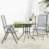 VidaXL Set of 3 Reclining Garden Chairs Anthracite, Outdoor Chair Set, Outdoor Furniture, 3283760
