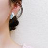 Silver Needle Simple Leaves Cold Stud Earrings Women's New Popular Temperament Versatile Elegant Earrings
