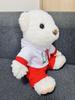 [USED] FIAT Teddy Bear Plush Toy
