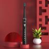 AUX A11 Rechargeable Sonic Electric Toothbrush CN plug (adapter included)