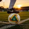 2002 Fevernova Soccer For World-Cup Matches and Training, Gifts