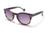 Okulary HALLY&SON HS503S50. Okulary Przeciwsłoneczne, Kolor Fioletowy. Unisex.