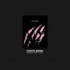 BLACKPINK KILL THIS LOVE Album