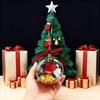 Nature's Birds Ball Ornament 3D Animal Clear Plastic Ball Decoration Christmas Tree Memorial Gift for Bird Lovers