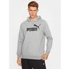 Puma Essential Big Logo Hoody