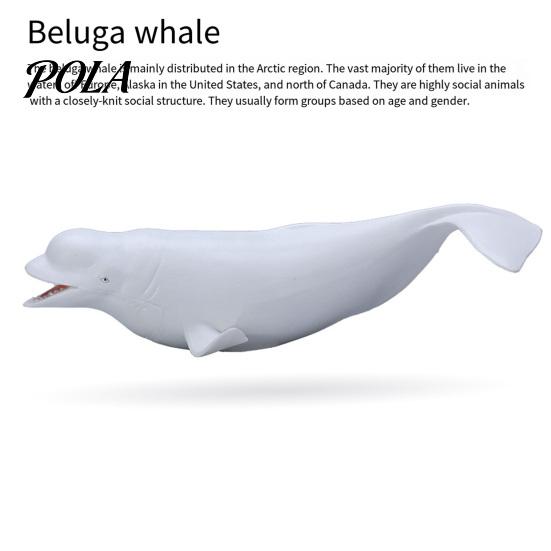 Sea Animal Educational Toy Simulated Marine Life Model, Realistic Whale Shark Dolphin Figurine, PVC Model for Toddlers Boys Girls