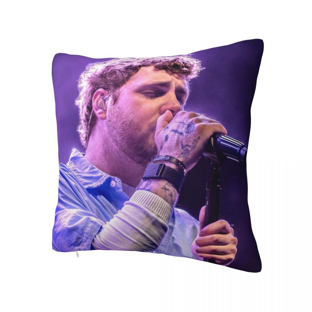America Alex Warren Singer Pillow Cover Pillow Case Cushion Cover Retro Trendy Custom Diy Pillowcases For Living Room Chair