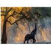 Sergey Gorshkov African Elephant Print