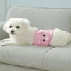 Cartoon Dog Physiological Belt Anti Harassment Soft Dogs Panties Shorts Reusable Adjustable Dog Safety Pants for Dogs