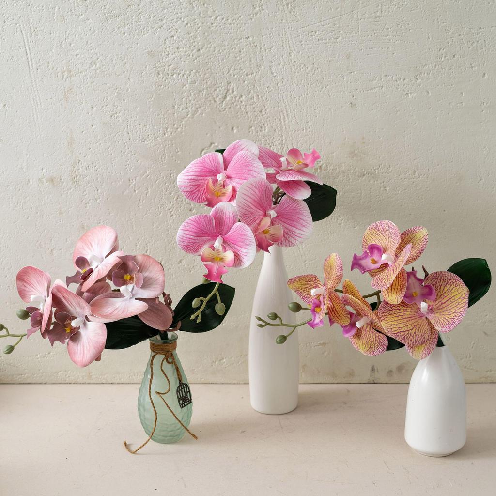 Starry Sky Milk Tea Phalaenopsis Orchid with Leaves - INS Style Faux Flower for Home Decor and Weddings