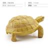 Simulation Amphibian Reptile Model Tortoise Tortoise Star Tortoise Static Decoration Cognitive Ornament Toy