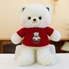 Cartoon Lele Sweater Bear Plush Toys Children's Birthday Gift Doll Exchange for Teddy Bear Sleeping Pillow