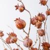 Faux Artificial Pomegranate Branches Plastic Realistic Foam Fruits Branches Handmade Elegant Simulation Pomegranate Fruit