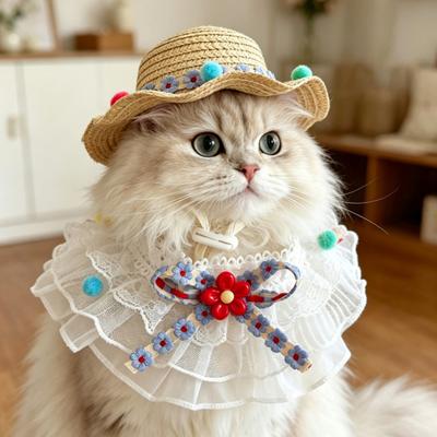 1 Set Schattige Bloemen Kat Outfit Strooien Zonnehoed En Kant Ruches Kat Bandana Slab Lieve Huisdier Accessoire met Kleurrijke Pompoms voor Katten Honden Foto's Feesten